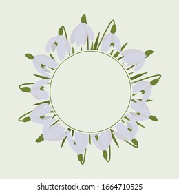 
Postcard frame of spring vector snowdrops