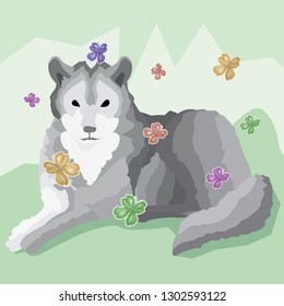 Postcard gray calm wolf who lies rests in fairy-tale dreams. Cute butterflies fly around the wolf, emphasizing calm and tenderness of rest.