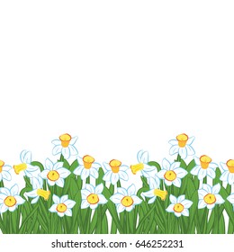 Postcard of green grass with small blue narcissus flowers isolated on white. Vector