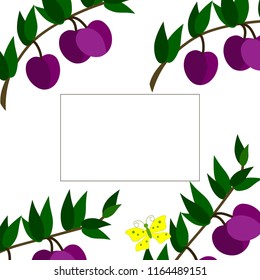 Postcard, greeting sticker with a picture of plums and butterflies.