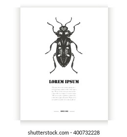 Postcard with hand drawn beetle.Vector illustration