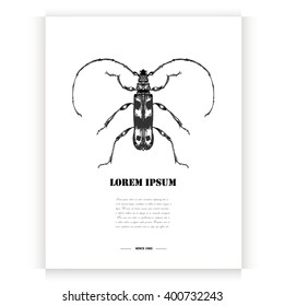 Postcard with hand drawn beetle.Vector illustration