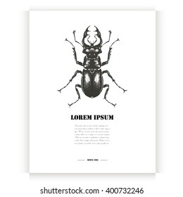 Postcard with hand drawn beetle.Vector illustration