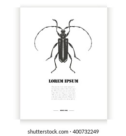 Postcard with hand drawn beetle.Vector illustration
