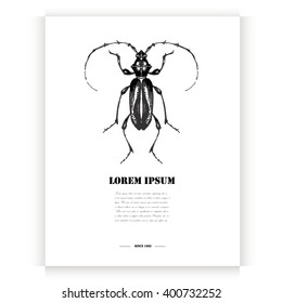 Postcard with hand drawn beetle.Vector illustration