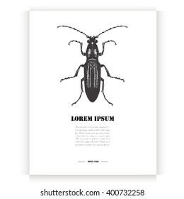 Postcard with hand drawn beetle.Vector illustration