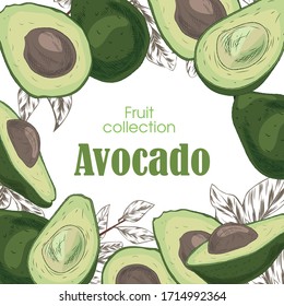postcard with hand-drawn avocado of green and light green colors with leaves halves with a bone, without a bone and whole