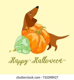 Postcard Happy Halloween with a fee based on the orange pumpkin. Vector