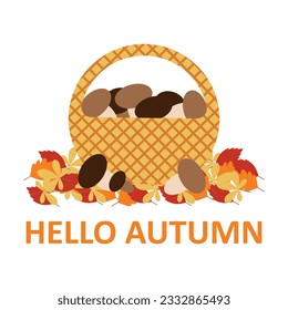 Postcard Hello autumn with a basket of mushrooms, vector. Basket with mushrooms, autumn leaves and the inscription Hello autumn.