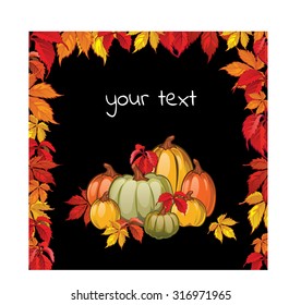 Postcard with the image of autumn leaves of parthenocissus, ripe pumpkins and your text. Vegetables on a black background. Vector.