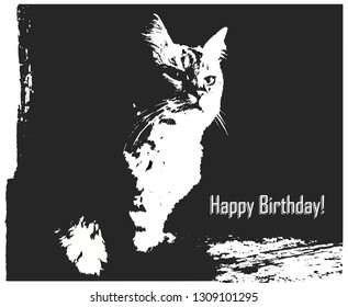 Postcard with the image of a cat to the birthday. Black and white postcard for your design.
