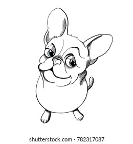 Postcard. Ink portrait of the smilig cartoon french bulldog on a white background. Vector illustration.