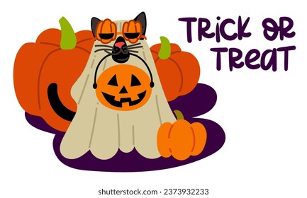 A postcard with the inscription Trick or treat. A black cat in a sheet and glasses with pumpkins, a basket for Halloween sweets on a background of pumpkins. Flat vector illustration on white. text