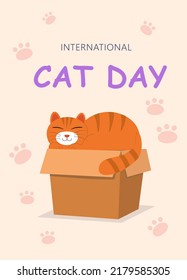 Postcard international day of the cat. Cat in a box on a pink background in an upright position