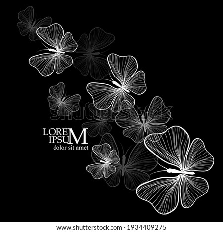 Postcard with monochrome beautiful butterflie. Black Butterfly from lines . Vector illustration