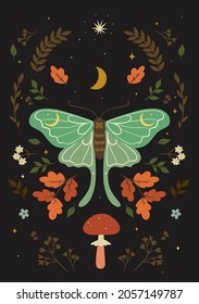 Postcard with a moth in boho style. Vector graphics.