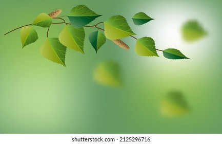 A postcard on a spring or summer theme. A birch branch with green leaves and earrings on a light blurred background.