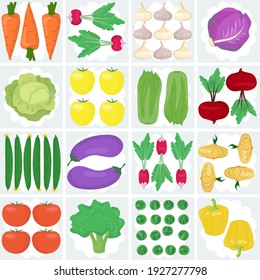 Postcard pattern from different vegetables. Vector illustration