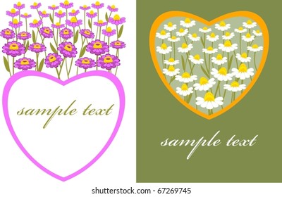 postcard with a picture of chamomile
