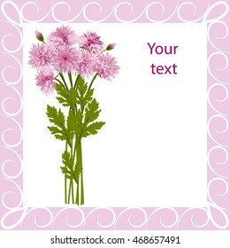 Postcard pink chrysanthemums