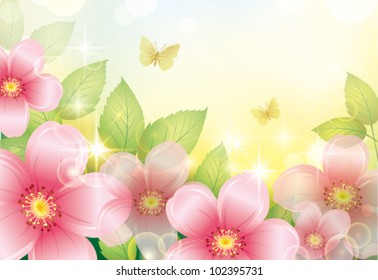 postcard with pink flower