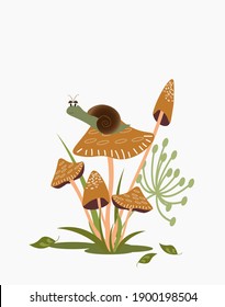 Postcard with poisonous mushrooms on a white background. Mushrooms in the forest with a snail and grass. Vector illustration. For logos, icons, decor and postcards.