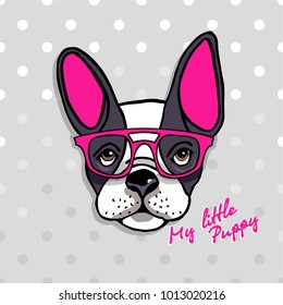 Postcard. Portrait of Francis the bulldog in glasses. Vector illustration. The Bulldog's Head.
