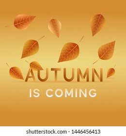 Postcard, poster, banner, flyer with text - autumn is coming. Autumn background. Vector illustration.
