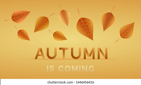 Postcard, poster, banner, flyer with text - autumn is coming. Autumn background. Vector illustration.