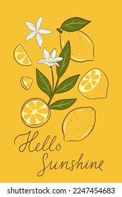 Postcard or poster with lemons, flowers and leaves. Vector graphics.