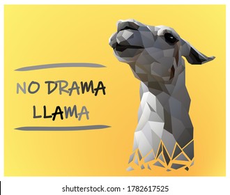 Postcard of realistic lama illustration in polygonal style. Optimistic text  "no drama llama"