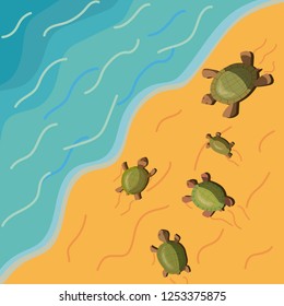 postcard with resting five different turtles crawling on the beach along the sand to the water on a warm sunny day