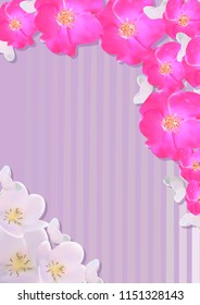 Postcard with sakura on a striped background.