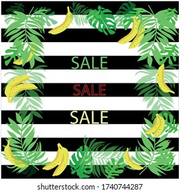 Postcard for sale Summer Sale tropical Banana Fresh Illustration