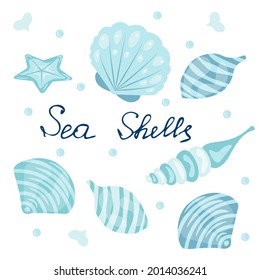 Postcard with seashells and handwritten inscription seashells - vector illustration, eps
