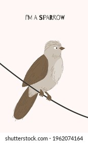 Postcard with a sparrow sitting on a wire. City bird. Vector illustration.