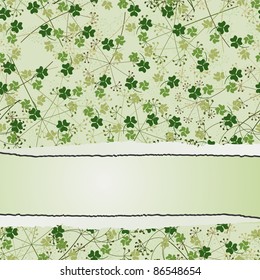 Postcard from St. Patrick's Day