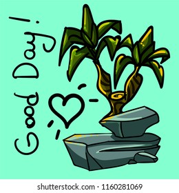 postcard with stone and dracaena