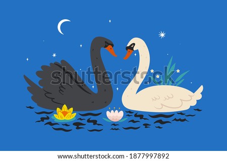 Postcard with swans on the pond. Vector graphics.