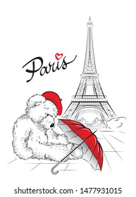 Postcard with Teddy bear and Eiffel tower from Paris, France. Vector illustration