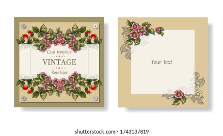 Postcard template with branches and flowers of wild rose. Illustrations can be used in postcards, invitations, brochures, tickets, advertisements, banners. Vector graphic, EPS 10.