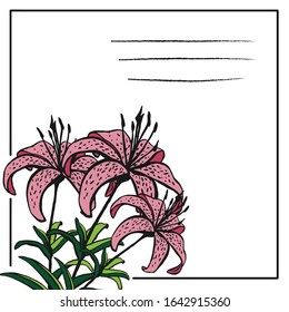 Postcard template with hand drawn blooming pink tiger lily. Vector illustration.