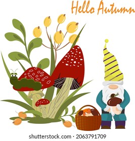 Postcard template with little gnome, basket and mushrooms. Autumn illustration. Vector illustration isolated on white background. For use in packaging, prints, for kids, shops, postcards and