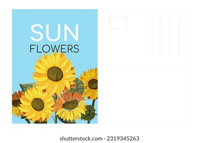 Postcard template Sunflowers on a blue background. Fields for address and stamp. Summer field of yellow flowers with text. Sunflower seeds. Painted in watercolor. Botany. Vector illustration