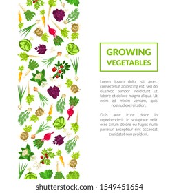 Postcard with the text of the vegetables grown. Vector illustration on a white background.