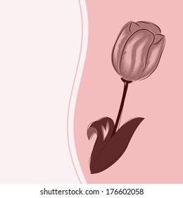 postcard with tulip