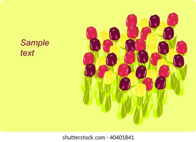 a postcard with tulips