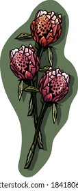 Postcard of tulips on green background, cartoon style, postcard, congratulation, greetings, party, blooming, nature, vector tulips, anniversary, card, border, doodle, floristic, pink, romantic, female