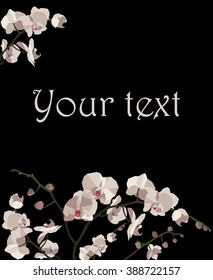 Postcard with white orchids on a black background.