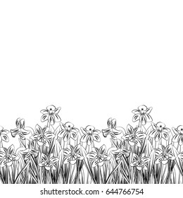 Postcard of white small narcissus with black stroke flowers silhouette isolated on white. Vector